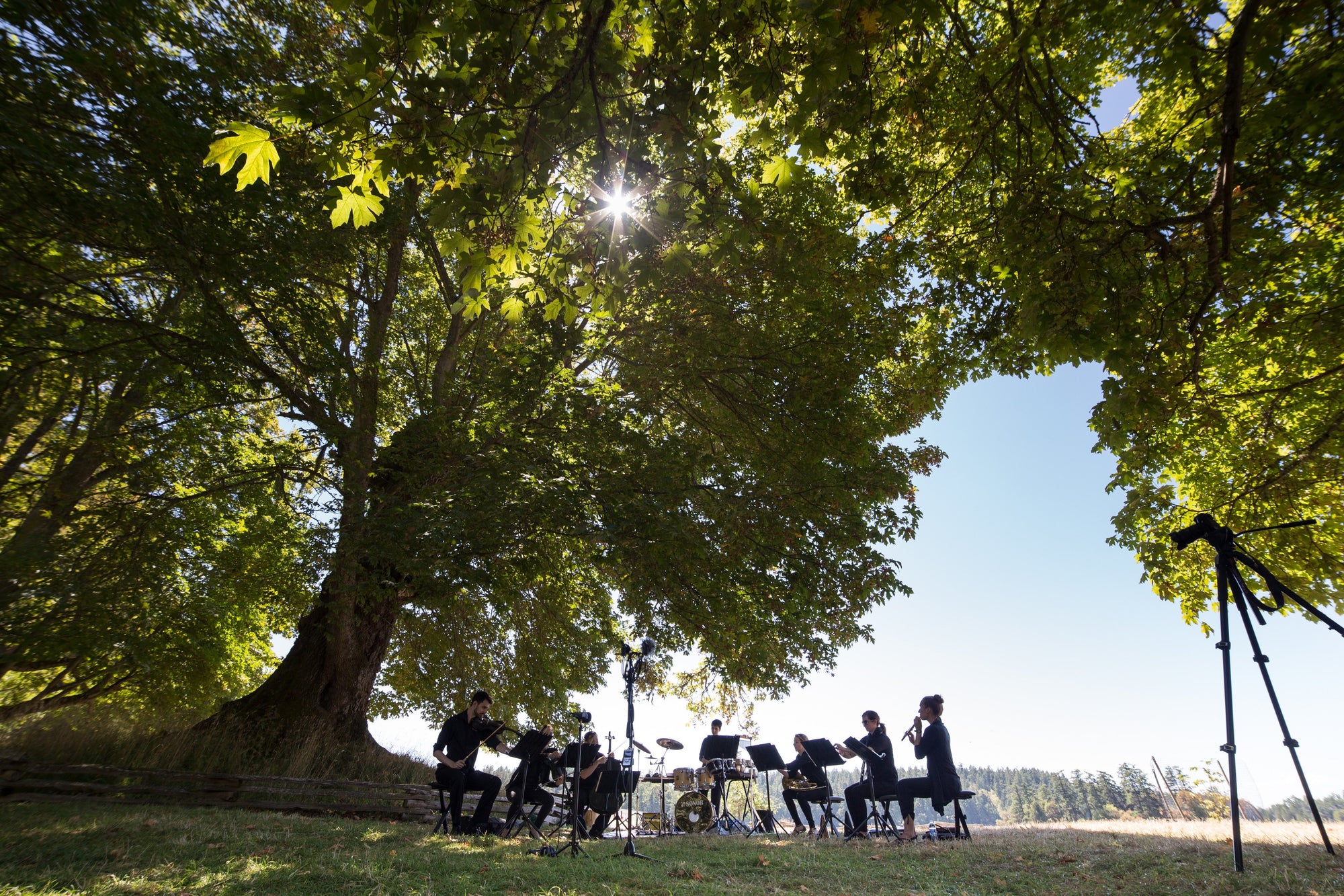 Chamber Music in the Great Outdoors